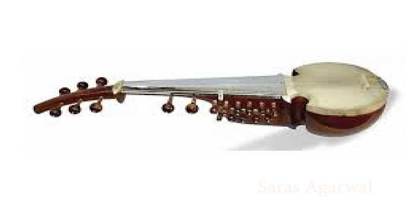 Sarod Musical Instrument