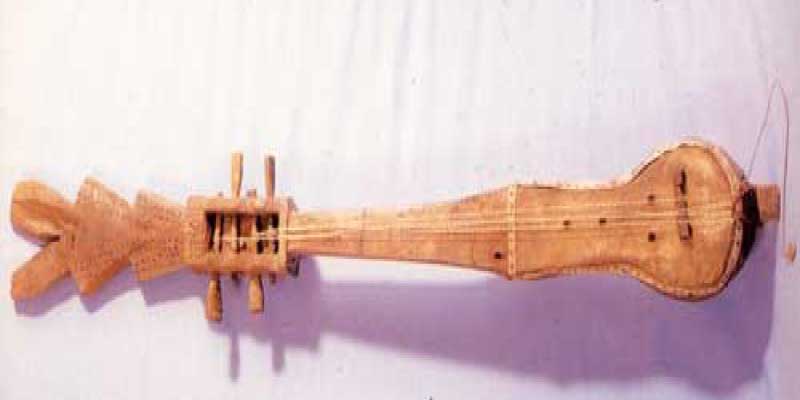 Banam Musical Instrument